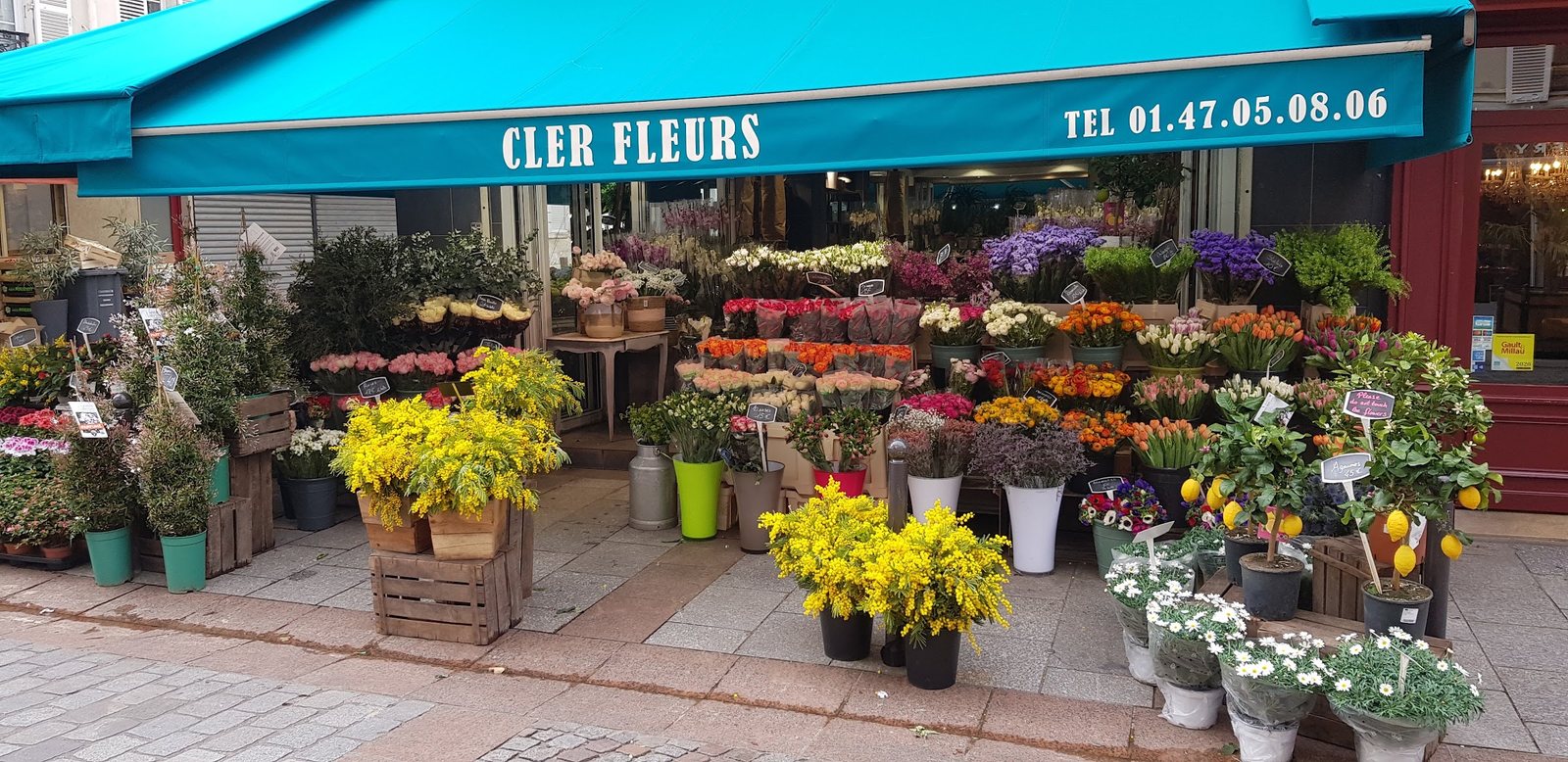 L’étal sous le store : mimosa, citronniers, marguerites et fleurs coupées