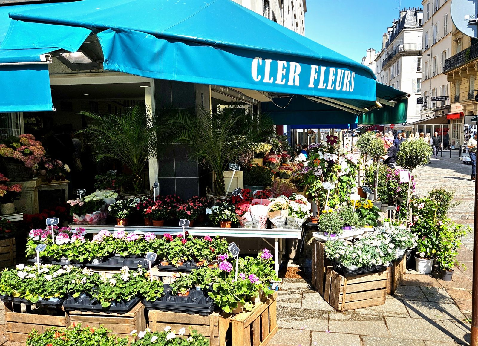 Plantes fleuries en caisses de bois sous le store, rue Cler