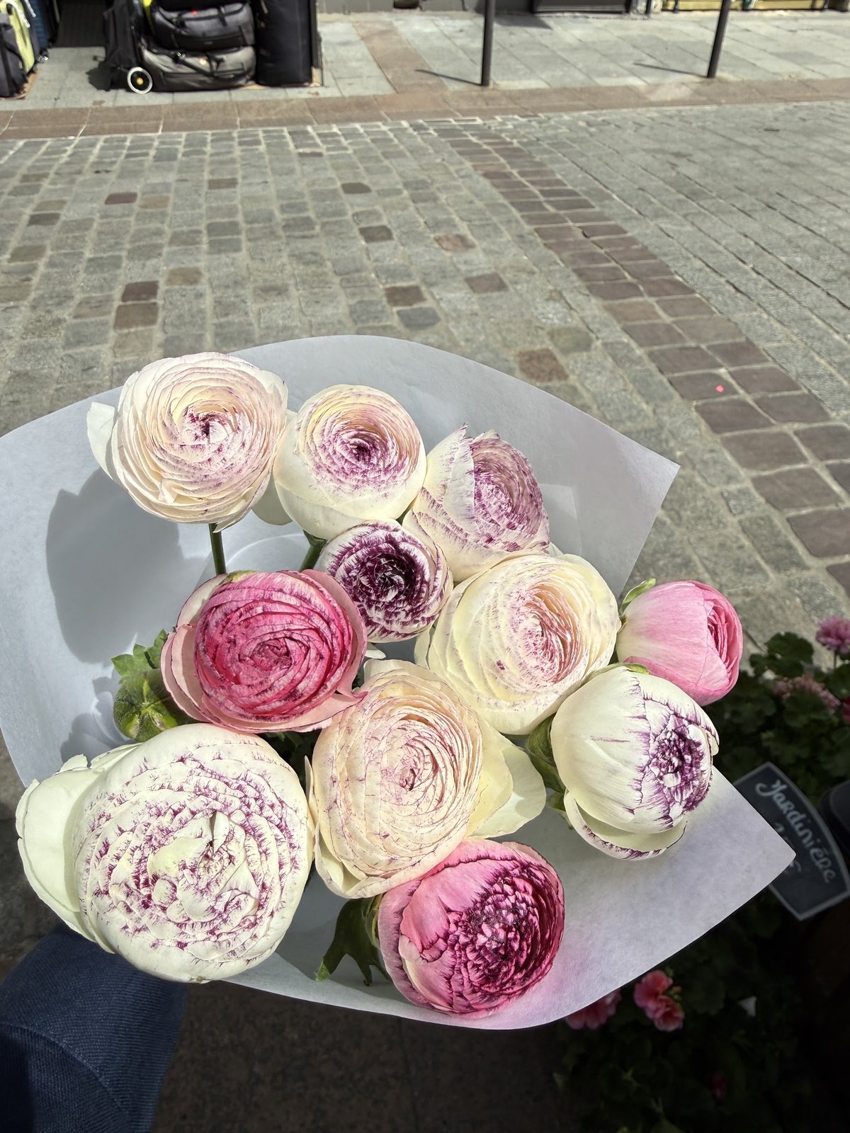 Bouquet de renoncules blanches et roses