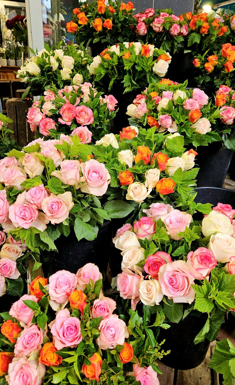 Roses roses, orange et blanches
