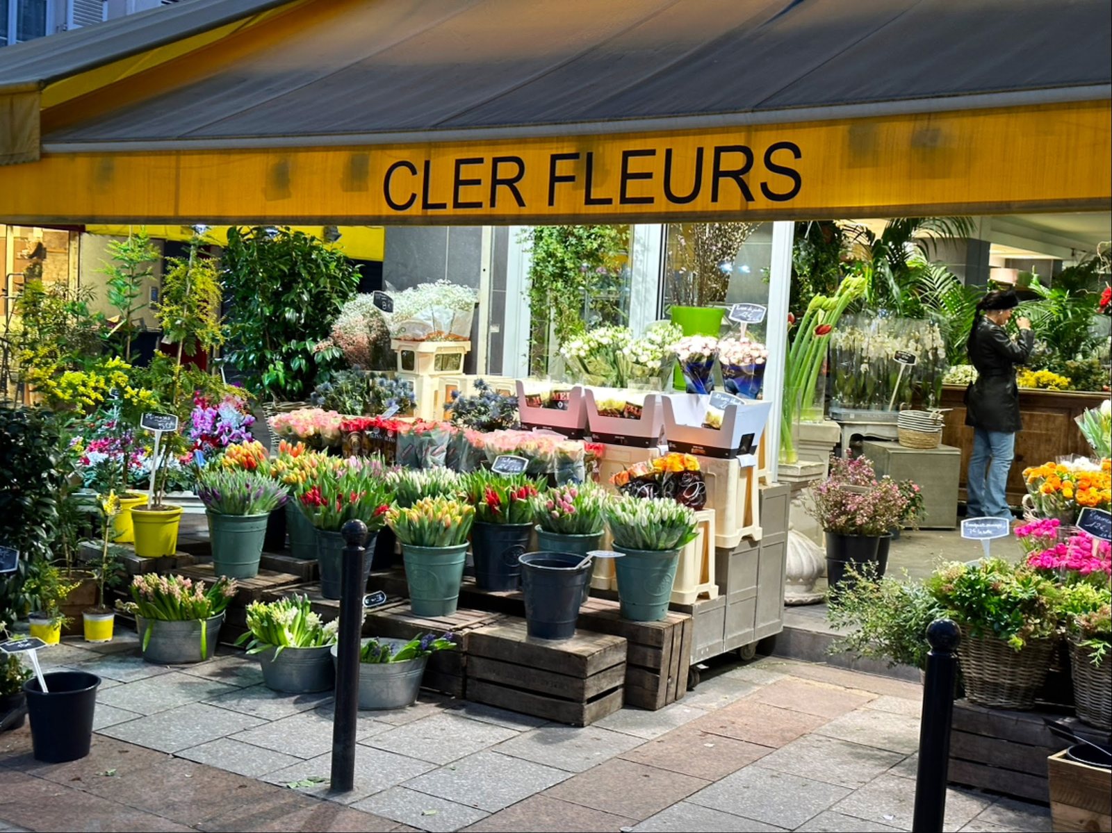Tulipes en seaux devant la boutique, sous le store jaune
