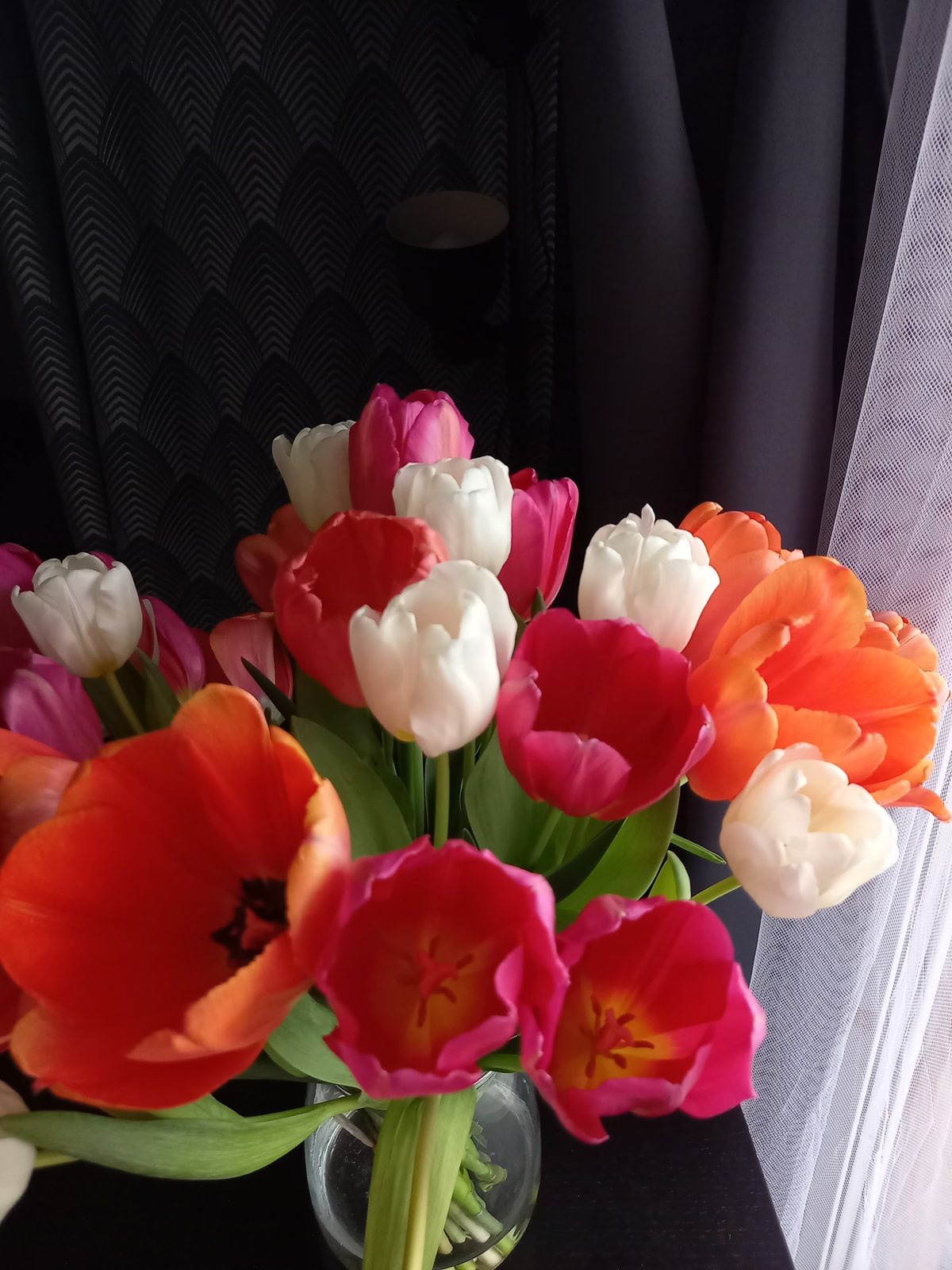 Tulipes rouges, orange et blanches